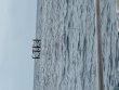 Wednesday August 5th 2026 Tropical Serenity: Anchor Chain reef report photo 1