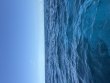 Tuesday August 11th 2026 Tropical Serenity: Eagle Ray Alley reef report photo 1