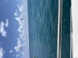 Tuesday August 11th 2026 Tropical Serenity: Benwood Wreck reef report photo 1