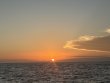 Tuesday August 11th 2026 Tropical Serenity: Nine Channel reef report photo 1
