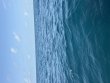 Friday August 14th 2026 Tropical Serenity: Benwood Wreck reef report photo 1