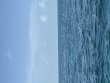 Friday August 14th 2026 Tropical Serenity: Christ Statue reef report photo 1