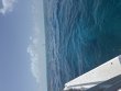 Saturday August 15th 2026 Tropical Serenity: Nine Channel reef report photo 1