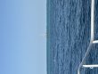 Tuesday August 18th 2026 Tropical Serenity: Nine Channel reef report photo 1