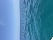 Tuesday August 18th 2026 Tropical Serenity: Benwood Wreck reef report photo 1