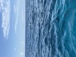 Wednesday August 19th 2026 Tropical Serenity: Eagle Ray Alley reef report photo 1