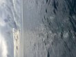 Thursday August 20th 2026 Tropical Serenity: Eagle Ray Alley reef report photo 1