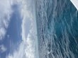 Thursday August 20th 2026 Tropical Serenity: Nine Channel reef report photo 1