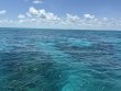 Friday May 9th 2025 Tropical Adventure: Minnow Cave reef report photo 1