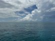 Friday May 23rd 2025 Tropical Adventure: Christ Statue reef report photo 1