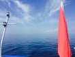 Wednesday July 29th 2015 Tropical Adventure: USCGC Bibb reef report photo 1