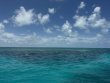 Sunday June 22nd 2025 Tropical Adventure: SPECIAL EVENT reef report photo 1