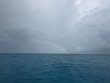 Thursday June 26th 2025 Tropical Adventure: CRF Nursery reef report photo 1