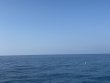 Friday August 22nd 2025 Tropical Adventure: Nine Channel reef report photo 1