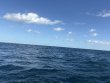 Saturday October 18th 2025 Tropical Adventure: Spiegel Grove reef report photo 1