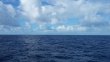 Monday November 30th 2015 Tropical Adventure: USCGC Duane reef report photo 1