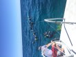 Saturday February 13th 2016 Tropical Adventure: Molasses Deep reef report photo 1