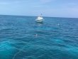 Saturday August 6th 2016 Tropical Adventure: North Star reef report photo 1