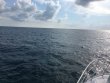 Tuesday August 23rd 2016 Tropical Adventure: Molasses Reef reef report photo 1