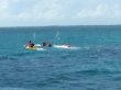 Saturday October 1st 2016 Tropical Adventure: Christ Statue reef report photo 1
