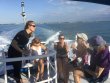 Sunday April 9th 2017 Tropical Adventure: Benwood Wreck reef report photo 2
