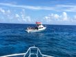 Sunday June 25th 2017 Tropical Adventure: Molasses Reef reef report photo 1