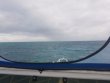 Monday November 20th 2017 Tropical Adventure: Pickle Barrel Wreck reef report photo 1