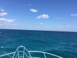 Monday April 30th 2018 Tropical Adventure: Benwood Wreck reef report photo 1