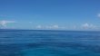 Thursday August 7th 2014 Tropical Adventure: Christ Statue reef report photo 1