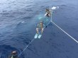 Friday August 8th 2014 Tropical Adventure: USCGC Duane reef report photo 2