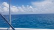 Monday June 18th 2018 Tropical Adventure: Benwood Wreck reef report photo 1