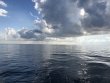 Sunday June 24th 2018 Tropical Adventure: Benwood Wreck reef report photo 1