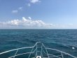 Saturday July 14th 2018 Tropical Adventure: Molasses Reef reef report photo 1