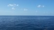Friday August 15th 2014 Tropical Adventure: USCGC Duane reef report photo 1