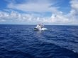 Friday August 24th 2018 Tropical Adventure: Spiegel Grove reef report photo 1