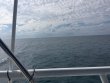 Wednesday September 12th 2018 Tropical Adventure: USCGC Duane reef report photo 1