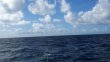 Tuesday September 9th 2014 Tropical Adventure: Spiegel Grove reef report photo 1