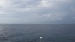 Friday September 19th 2014 Tropical Adventure: USCGC Duane reef report photo 1