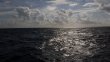 Monday November 17th 2014 Tropical Adventure: USCGC Duane reef report photo 1