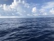 Saturday September 26th 2020 Tropical Destiny: USCGC Duane reef report photo 1
