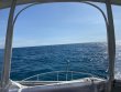 Saturday October 10th 2020 Tropical Destiny: Elbow Reef reef report photo 1