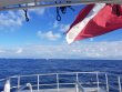 Saturday November 28th 2020 Tropical Destiny: USCGC Duane reef report photo 1