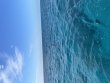Wednesday January 13th 2021 Tropical Destiny: Sand Island reef report photo 1