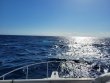 Tuesday April 27th 2021 Tropical Destiny: USCGC Duane reef report photo 1