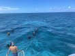 Thursday August 5th 2021 Tropical Destiny: Elbow Reef reef report photo 2