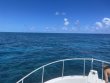 Thursday August 5th 2021 Tropical Destiny: Elbow Reef reef report photo 3