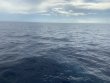 Monday September 20th 2021 Tropical Destiny: USCGC Duane reef report photo 1