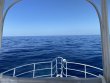 Thursday April 28th 2022 Tropical Destiny: USCGC Duane reef report photo 1