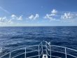 Saturday August 13th 2022 Tropical Destiny: USCGC Duane reef report photo 2