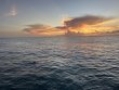 Tuesday August 13th 2024 Tropical Destiny: CRF Nursery reef report photo 1